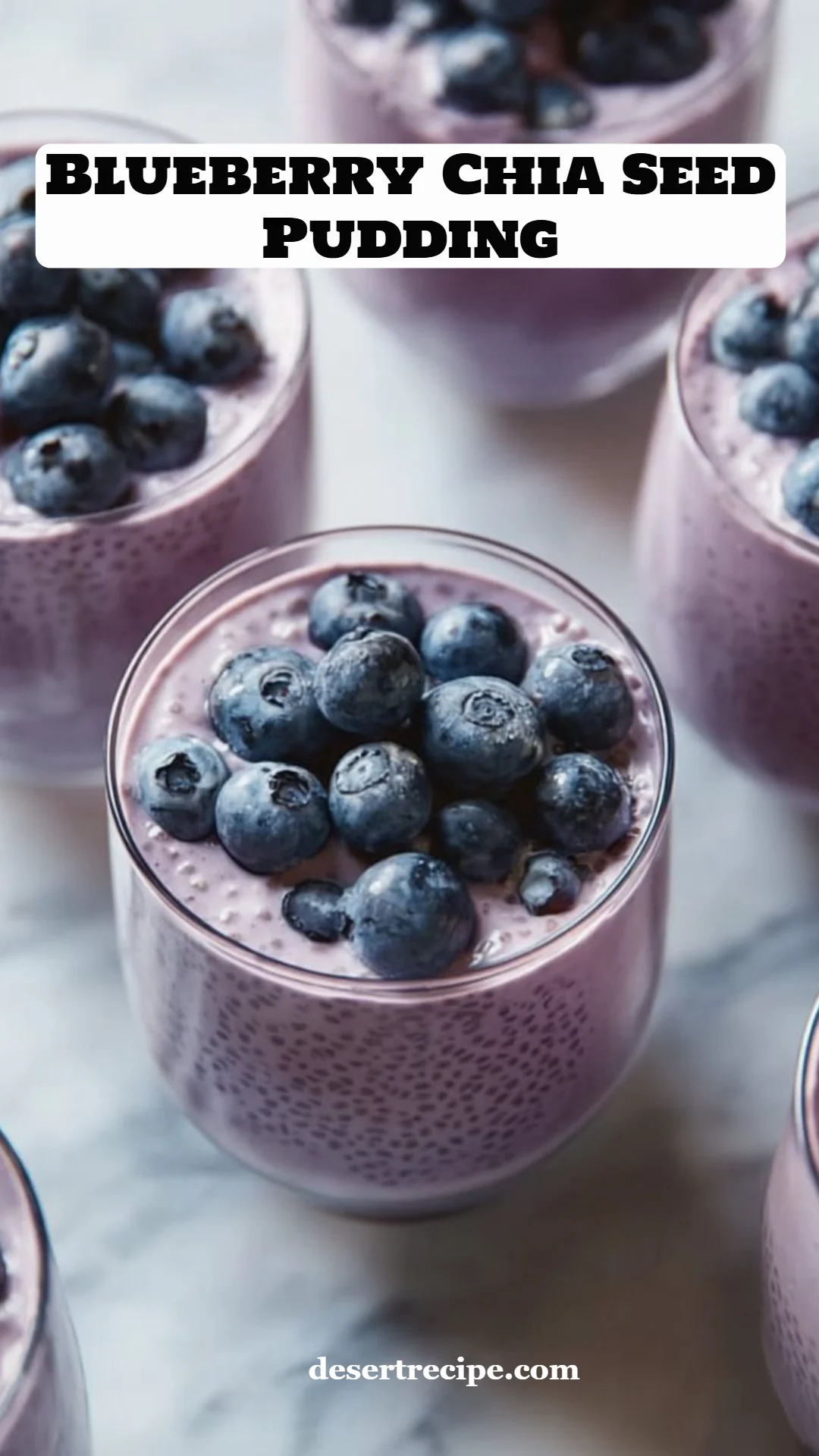 Blueberry Chia Seed Pudding