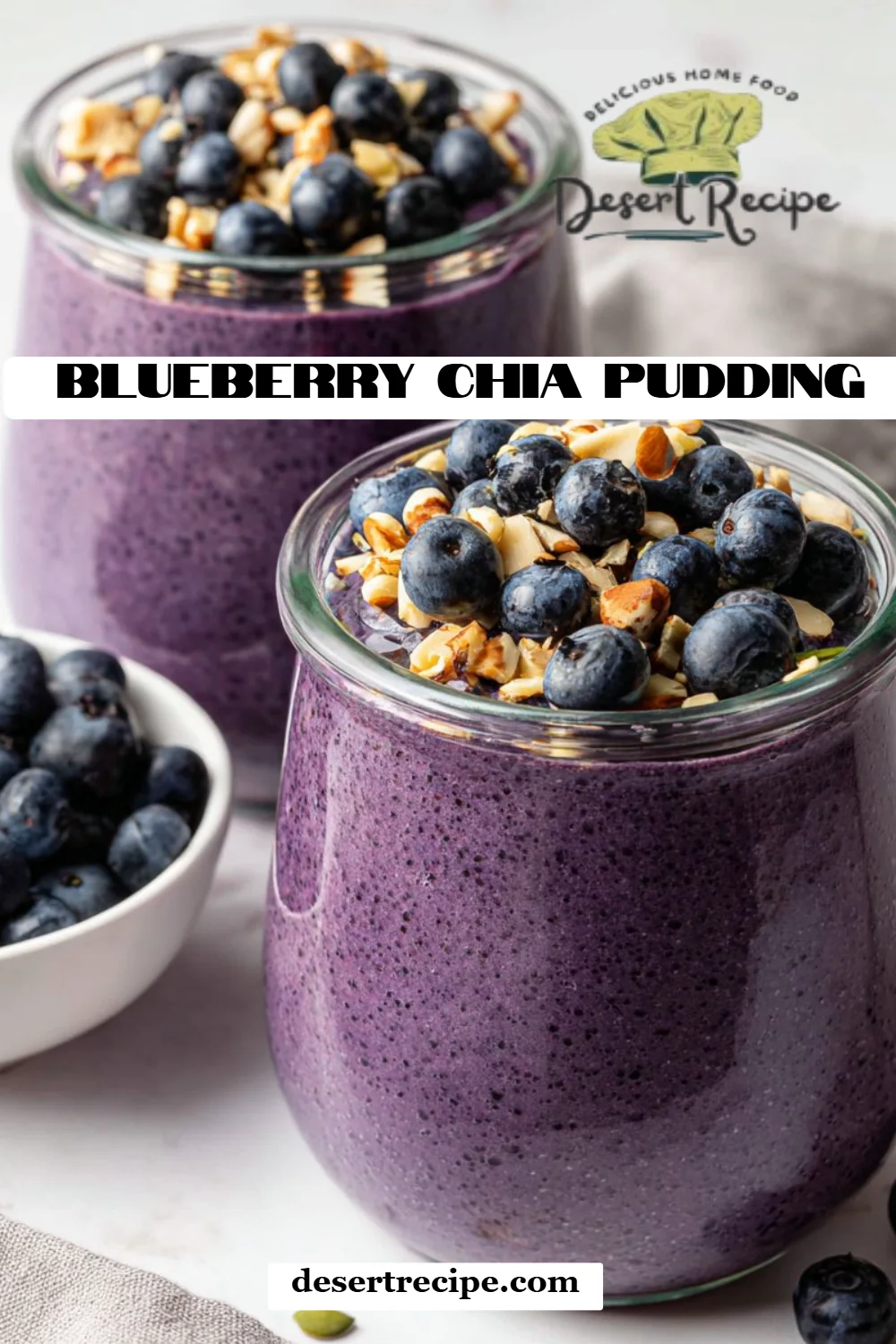 Blueberry Chia Pudding