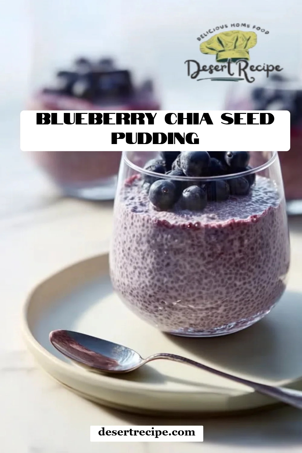 Blueberry Chia Seed Pudding