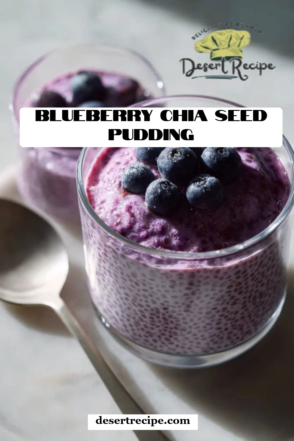 Blueberry Chia Seed Pudding